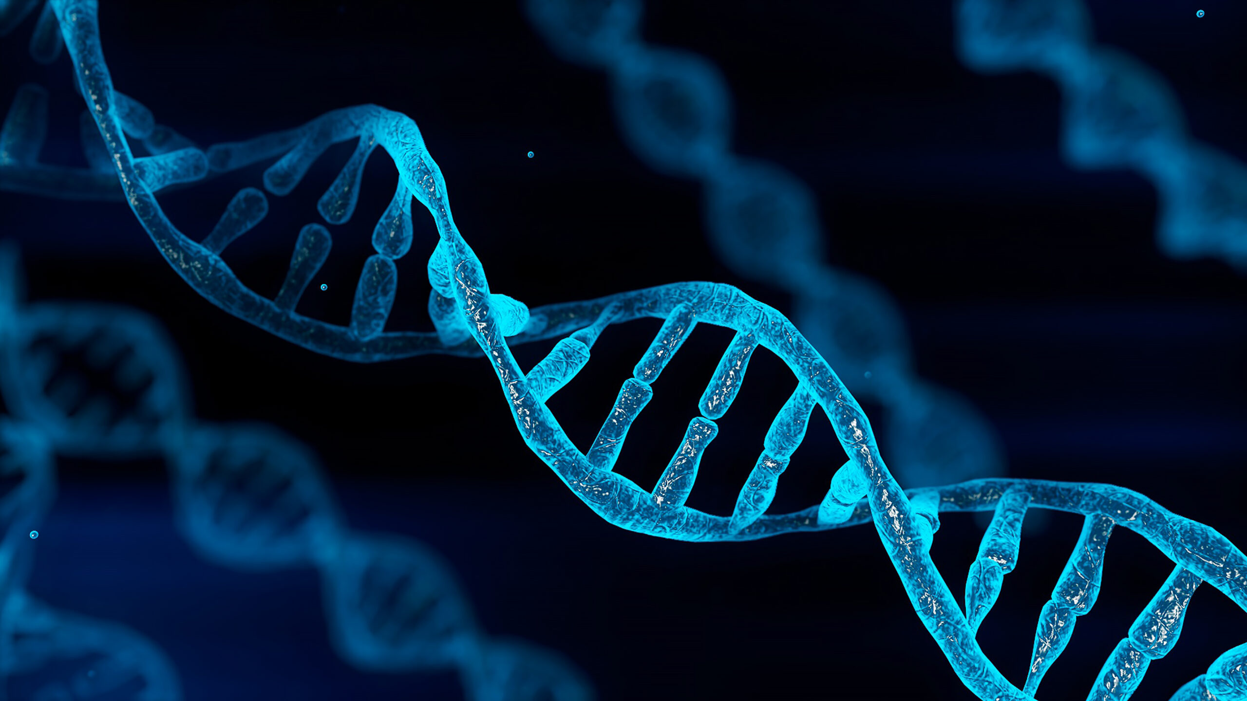 Test DNA